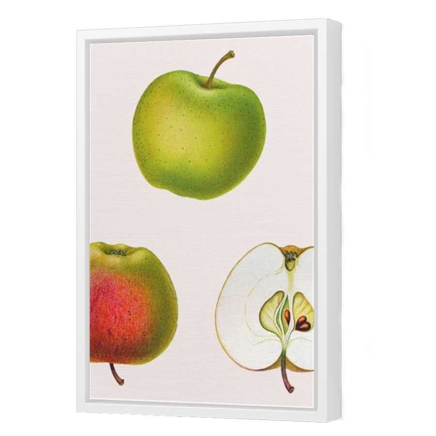 Thumbnail for Canvas - White Floating Frame