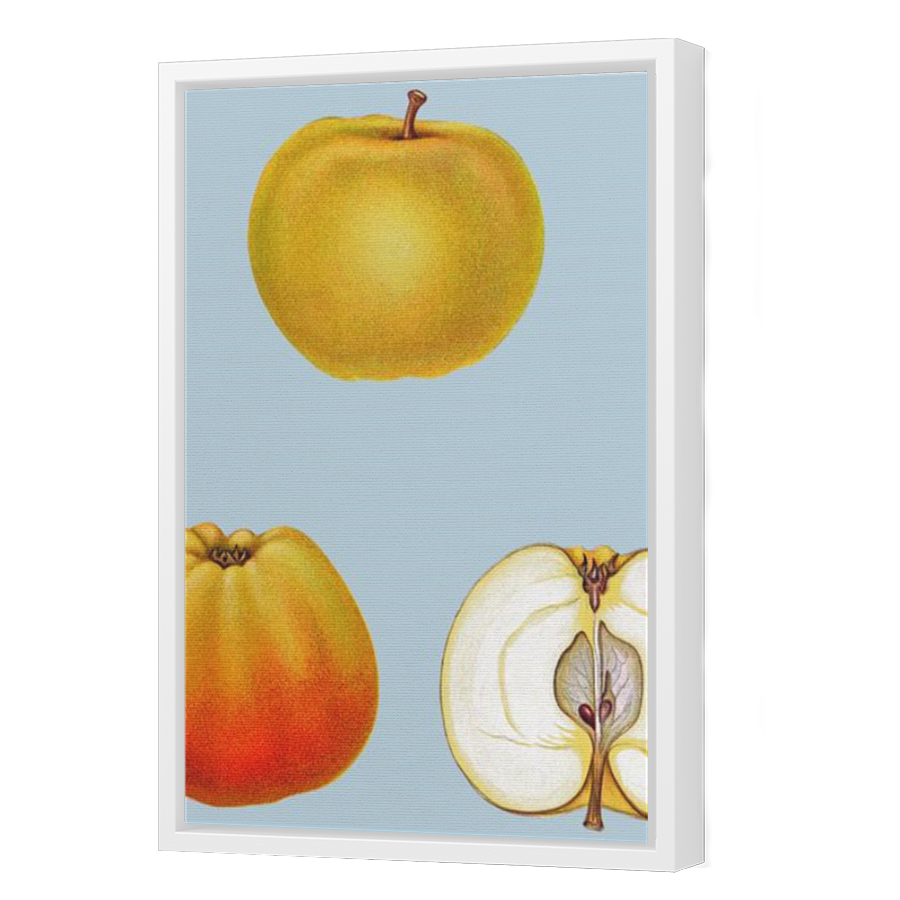 Thumbnail for Canvas - White Floating Frame