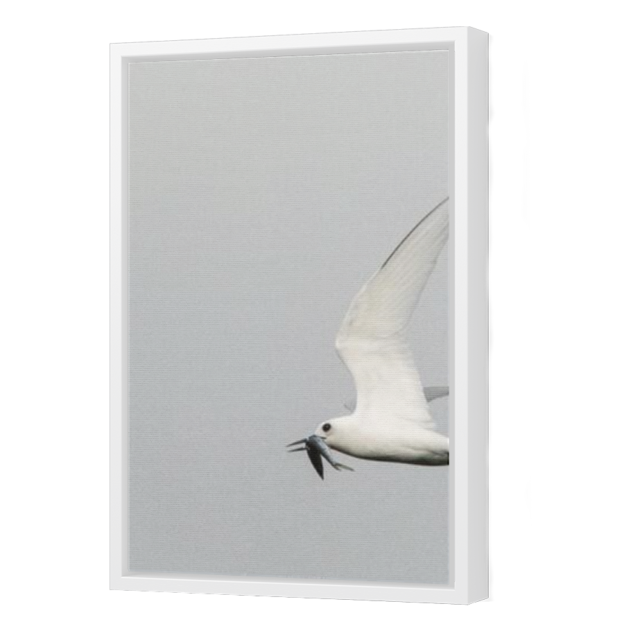 Thumbnail for Canvas - White Floating Frame