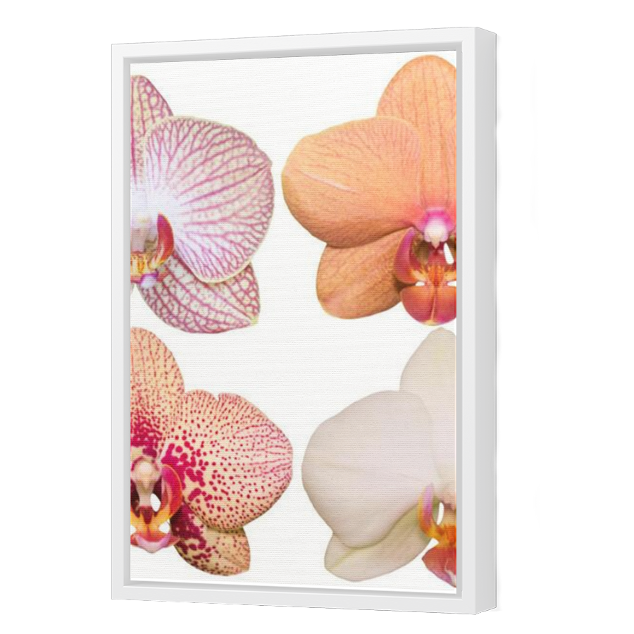 Thumbnail for Canvas - White Floating Frame