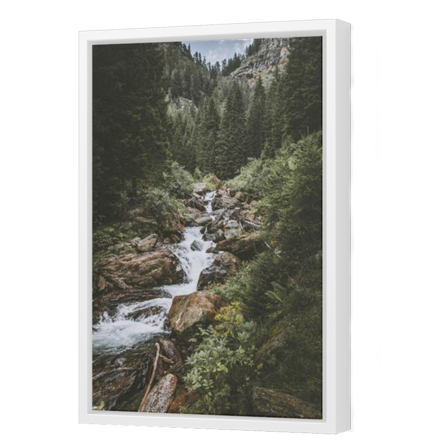 Thumbnail for Canvas - White Floating Frame