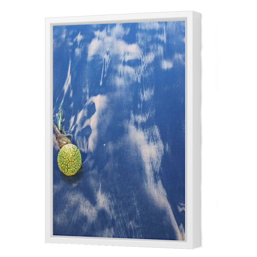 Thumbnail for Canvas - White Floating Frame