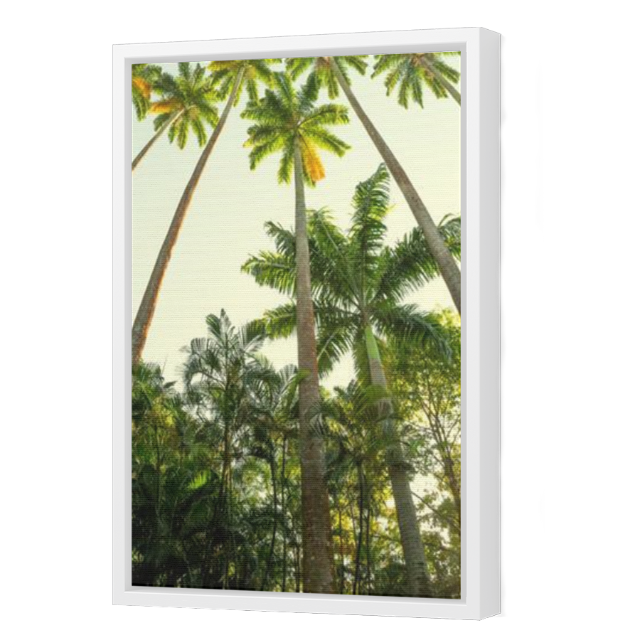 Thumbnail for Canvas - White Floating Frame