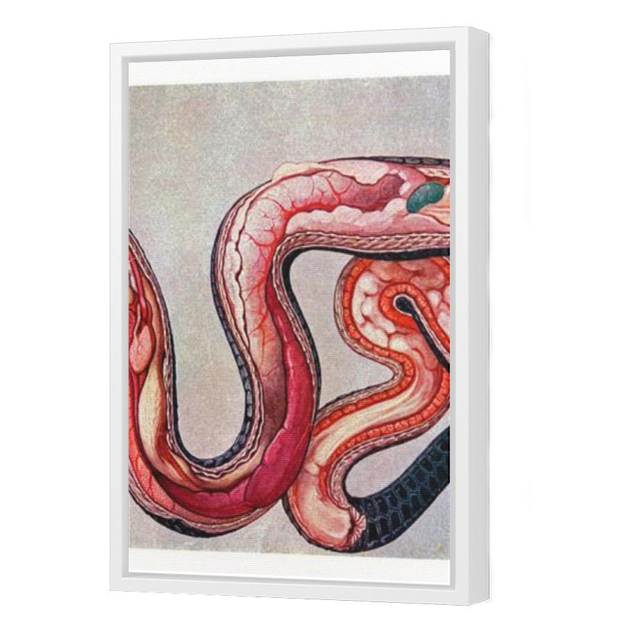 Thumbnail for Canvas - White Floating Frame