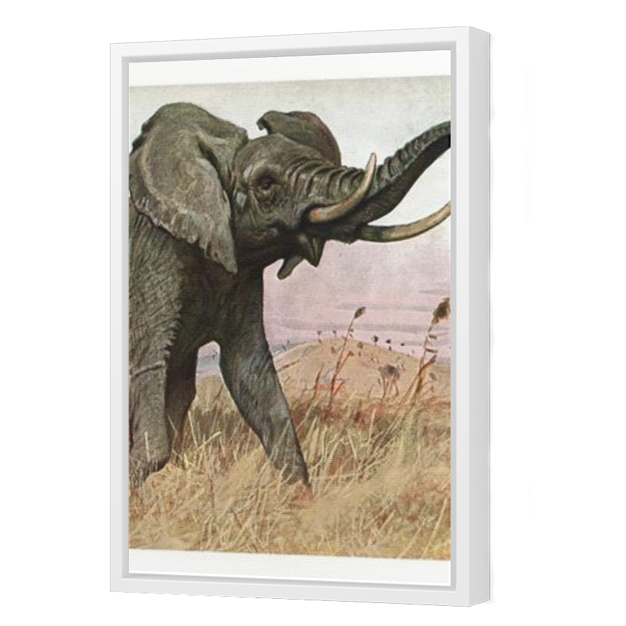 Thumbnail for Canvas - White Floating Frame