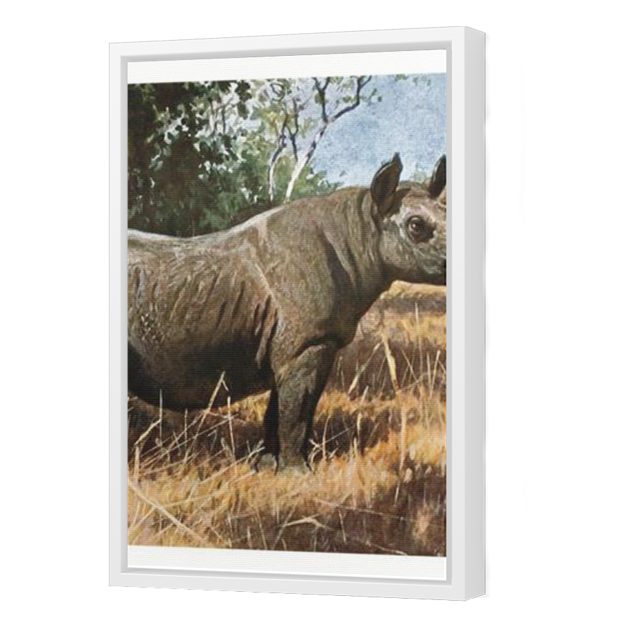 Thumbnail for Canvas - White Floating Frame