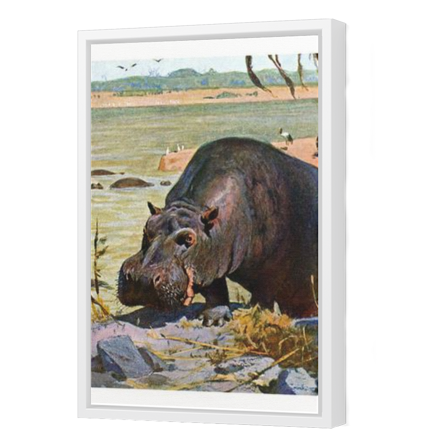 Thumbnail for Canvas - White Floating Frame