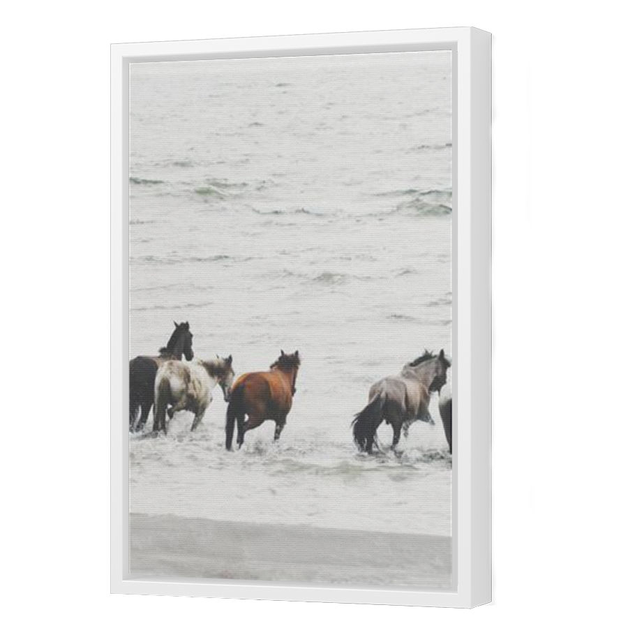 Thumbnail for Canvas - White Floating Frame