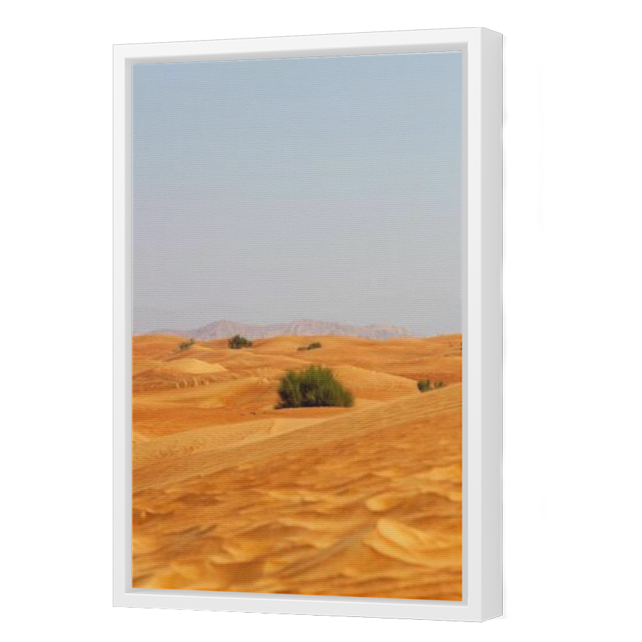 Thumbnail for Canvas - White Floating Frame