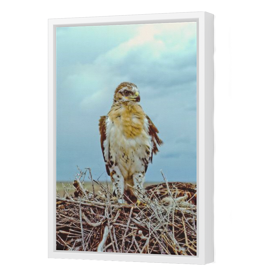 Thumbnail for Canvas - White Floating Frame