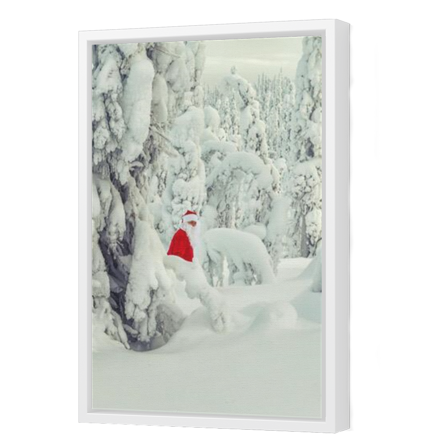 Thumbnail for Canvas - White Floating Frame