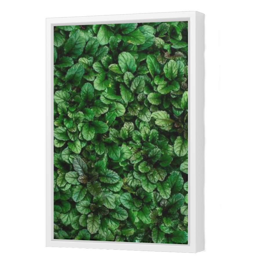 Thumbnail for Canvas - White Floating Frame