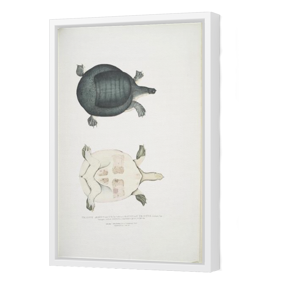 Thumbnail for Canvas - White Floating Frame