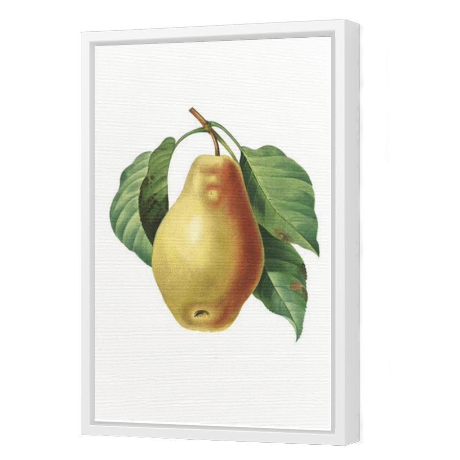 Thumbnail for Canvas - White Floating Frame