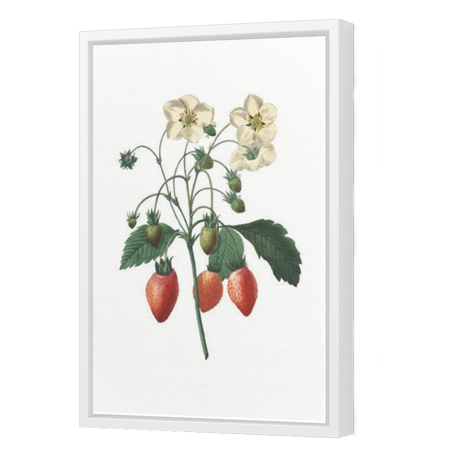 Thumbnail for Canvas - White Floating Frame