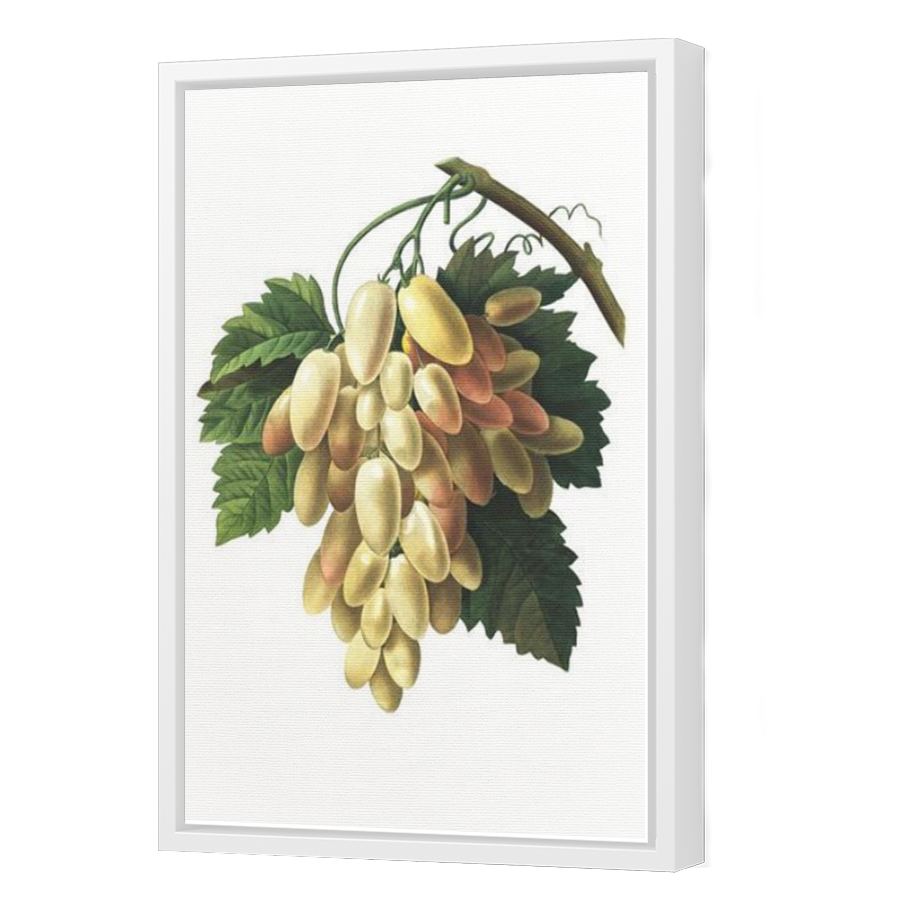 Thumbnail for Canvas - White Floating Frame