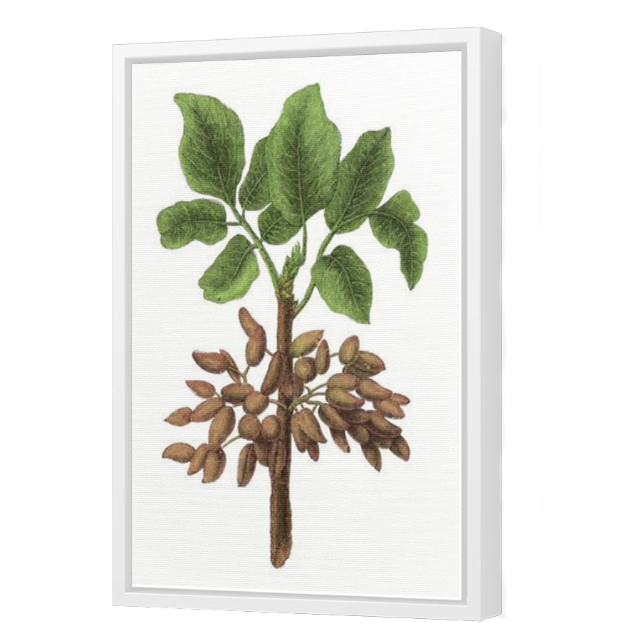 Thumbnail for Canvas - White Floating Frame