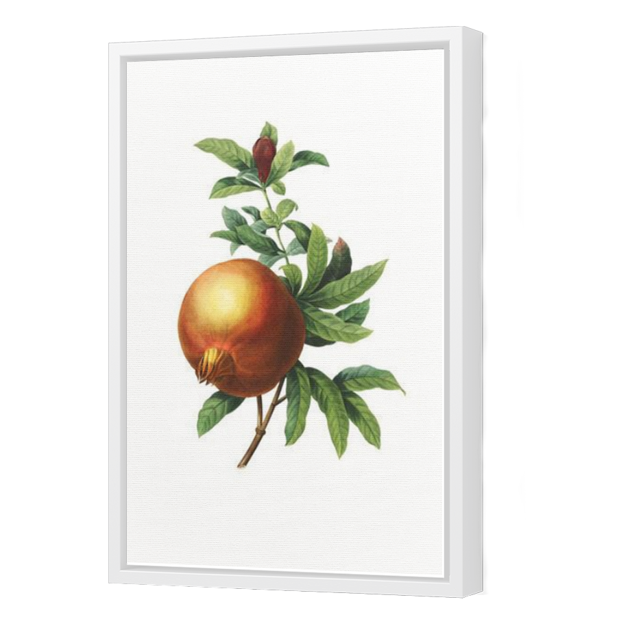 Thumbnail for Canvas - White Floating Frame