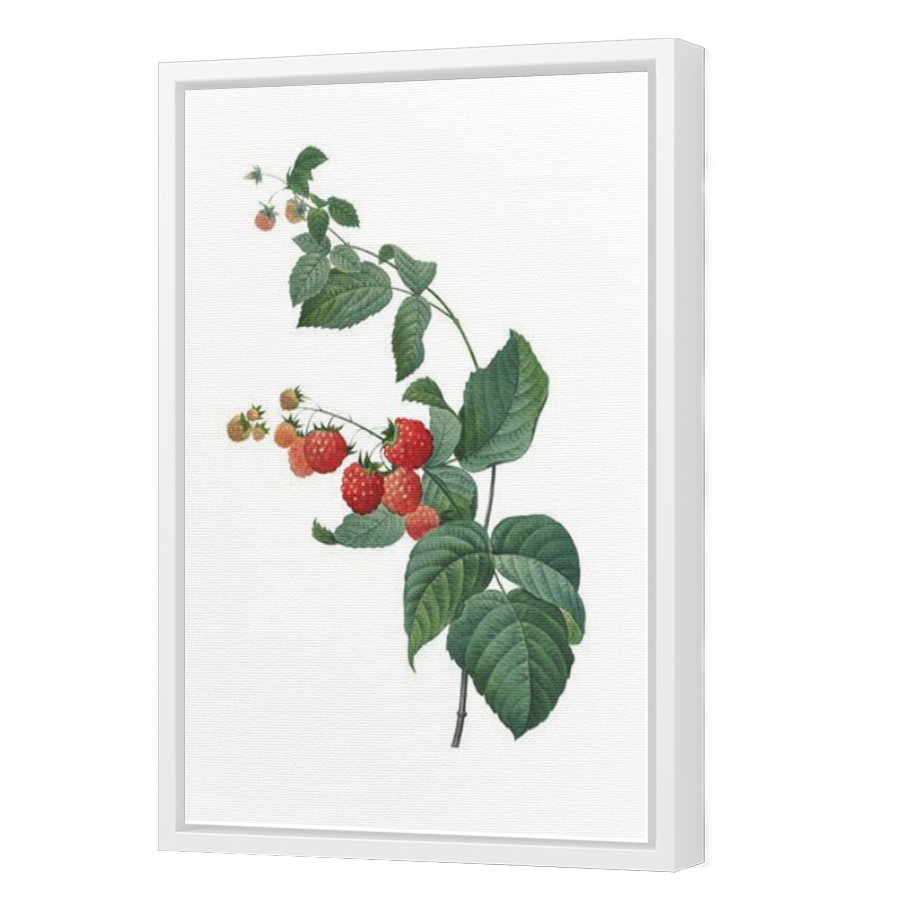 Thumbnail for Canvas - White Floating Frame