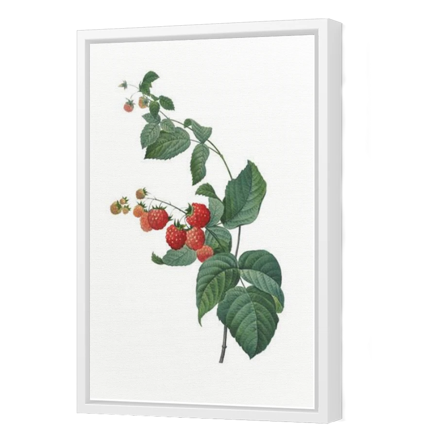 Thumbnail for Canvas - White Floating Frame