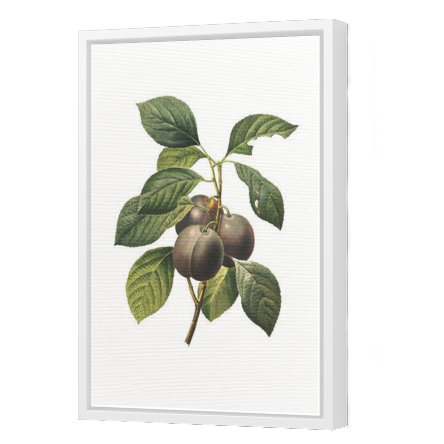Thumbnail for Canvas - White Floating Frame