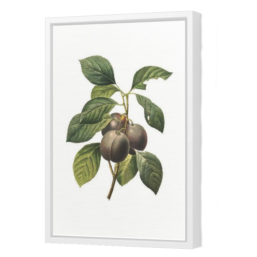 Thumbnail for Canvas - White Floating Frame