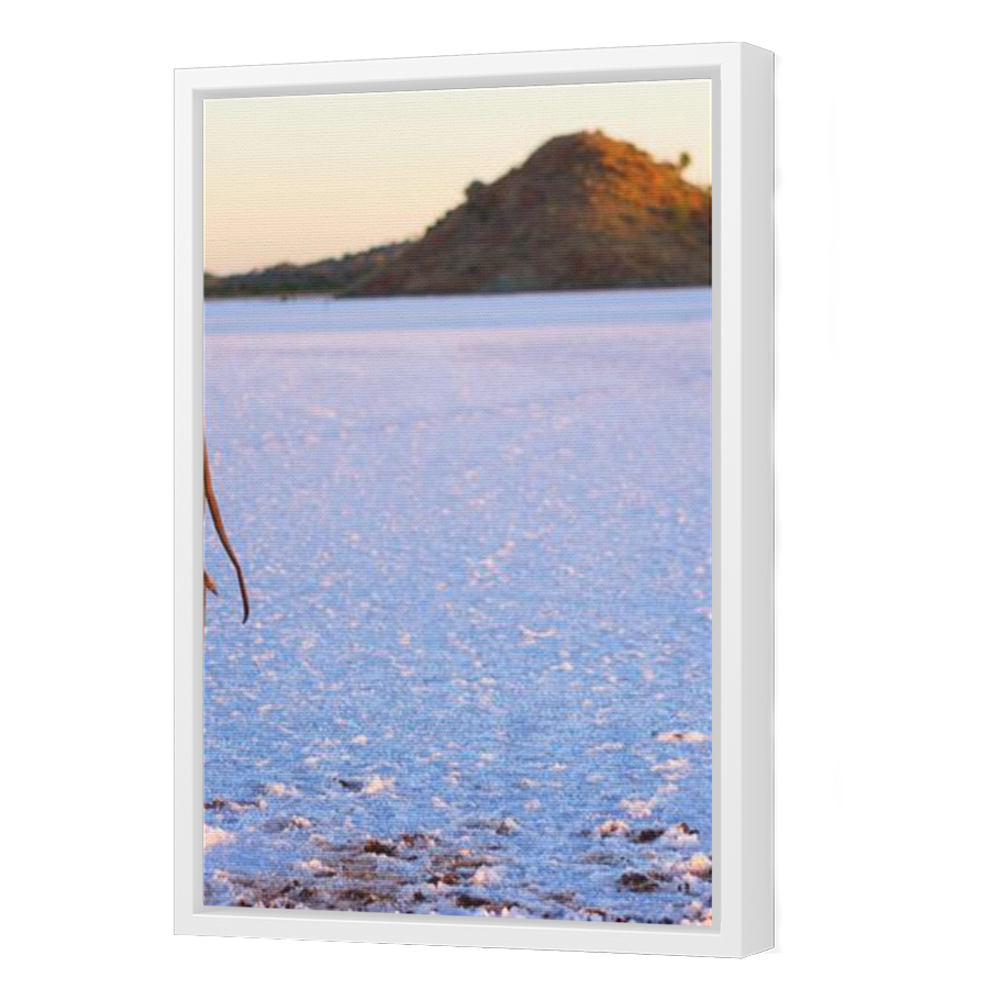 Thumbnail for Canvas - White Floating Frame