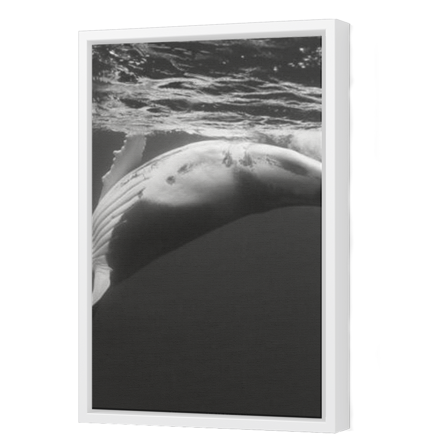 Thumbnail for Canvas - White Floating Frame