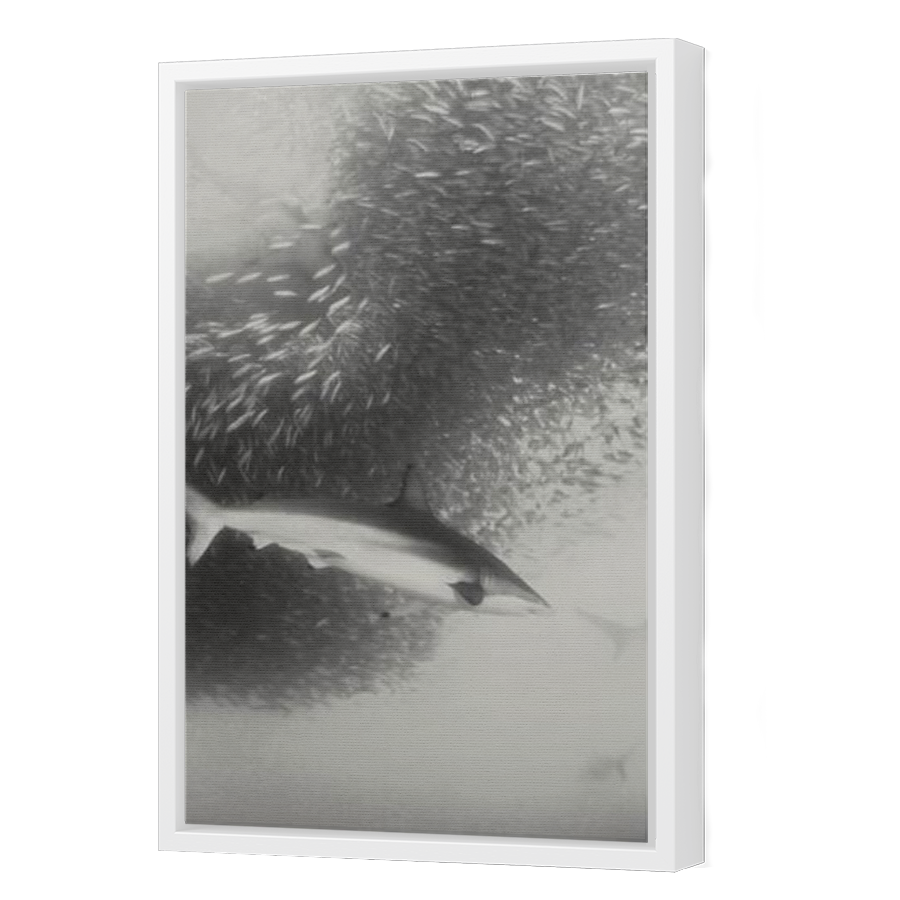 Thumbnail for Canvas - White Floating Frame