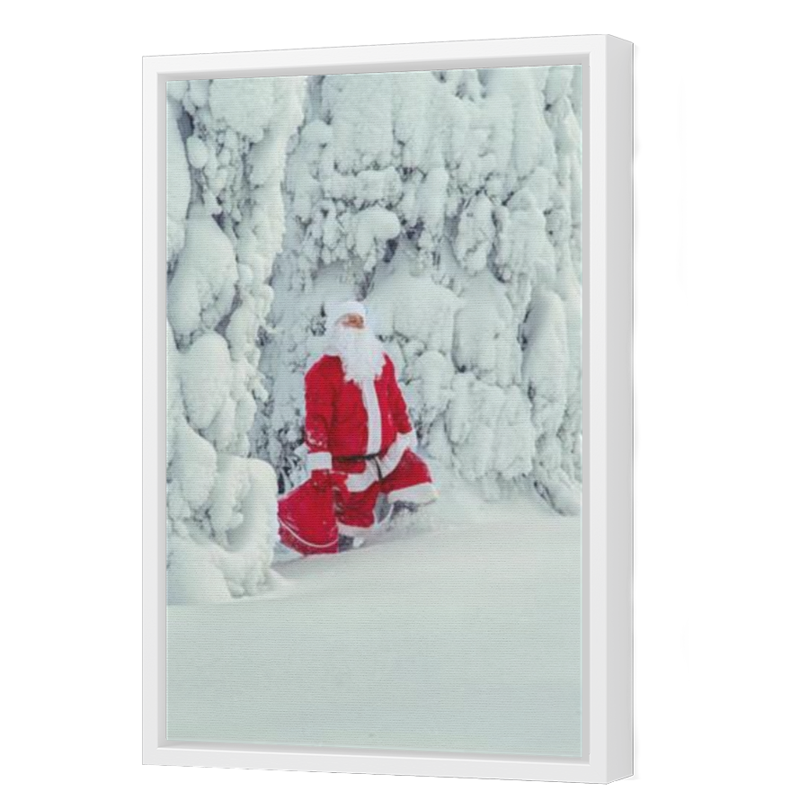 Thumbnail for Canvas - White Floating Frame