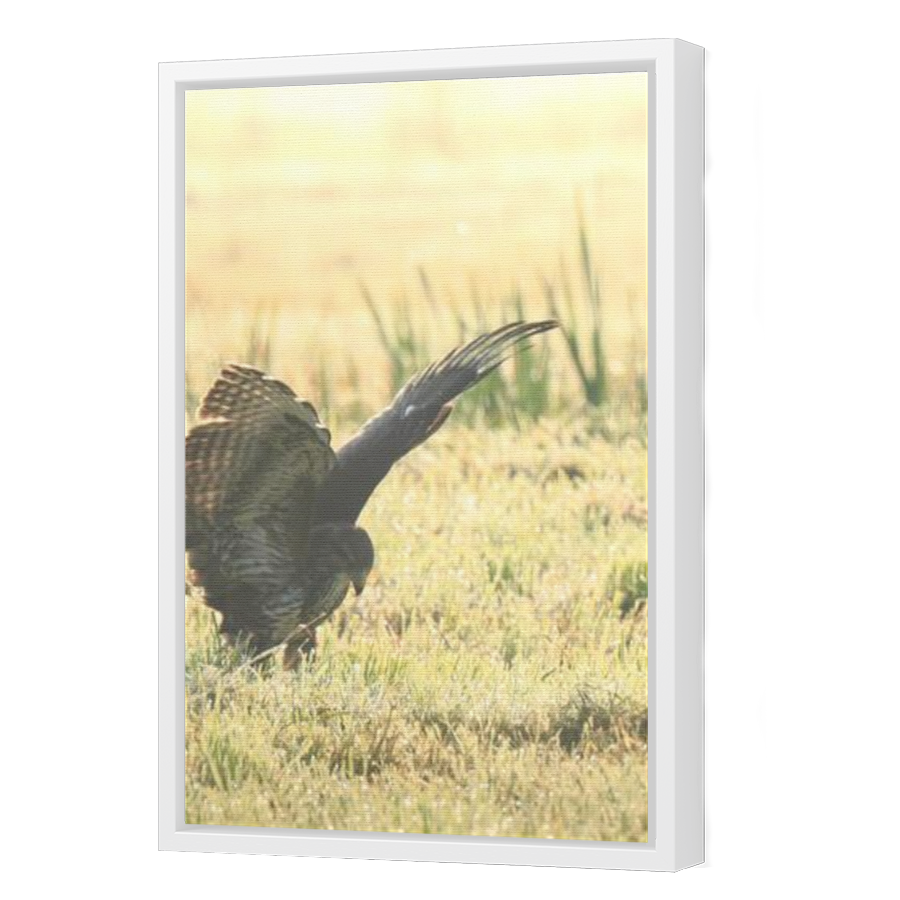 Thumbnail for Canvas - White Floating Frame