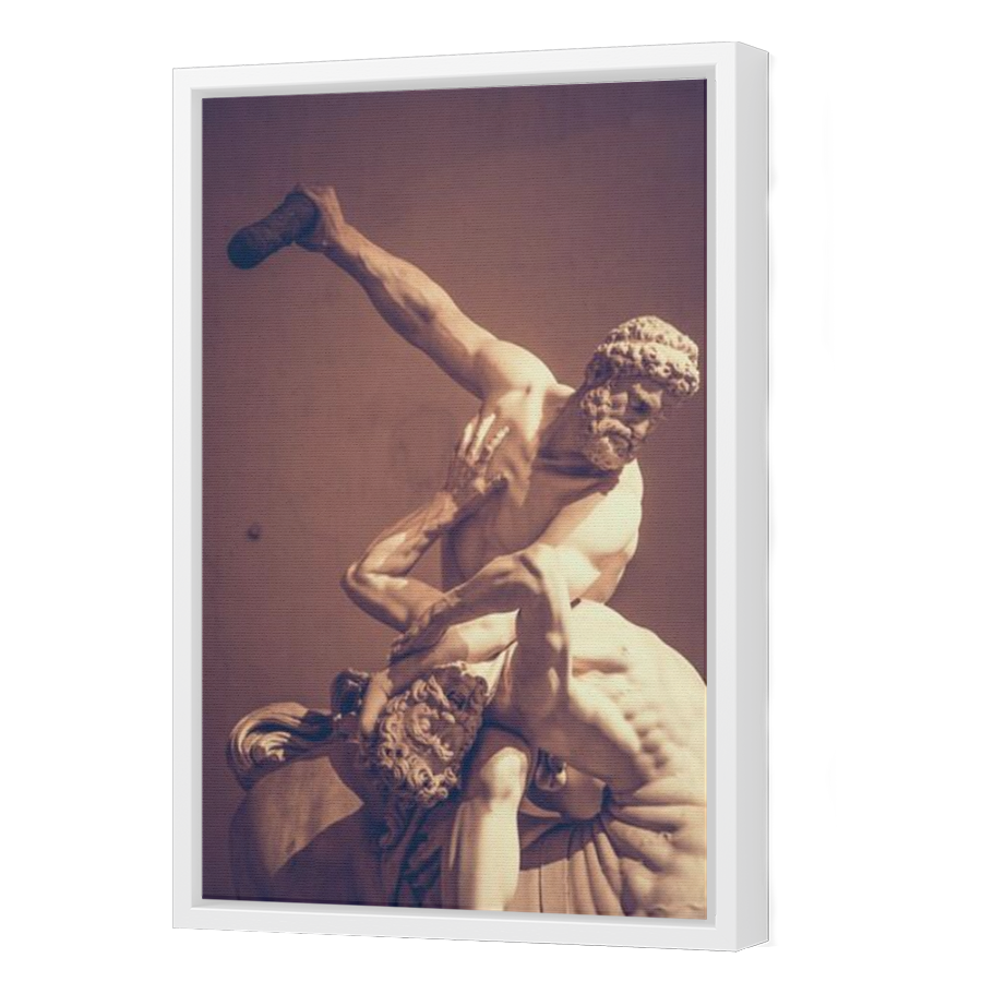 Thumbnail for Canvas - White Floating Frame