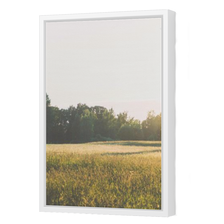 Thumbnail for Canvas - White Floating Frame