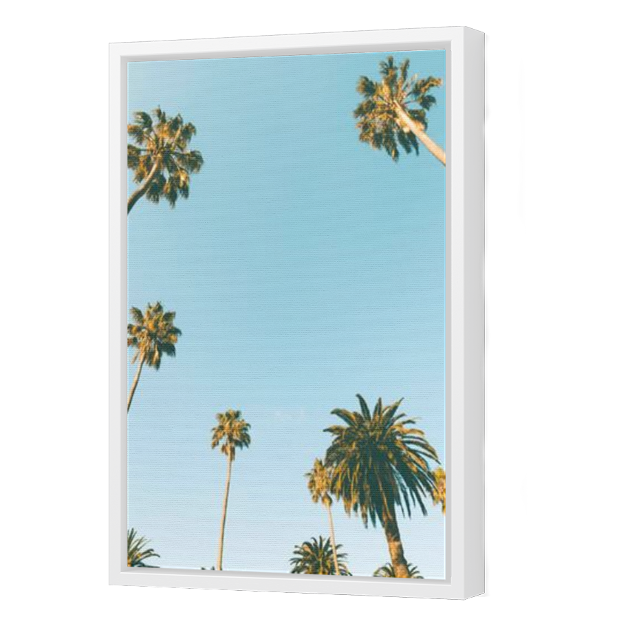 Thumbnail for Canvas - White Floating Frame