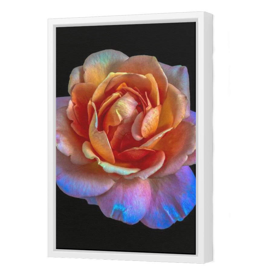 Thumbnail for Canvas - White Floating Frame