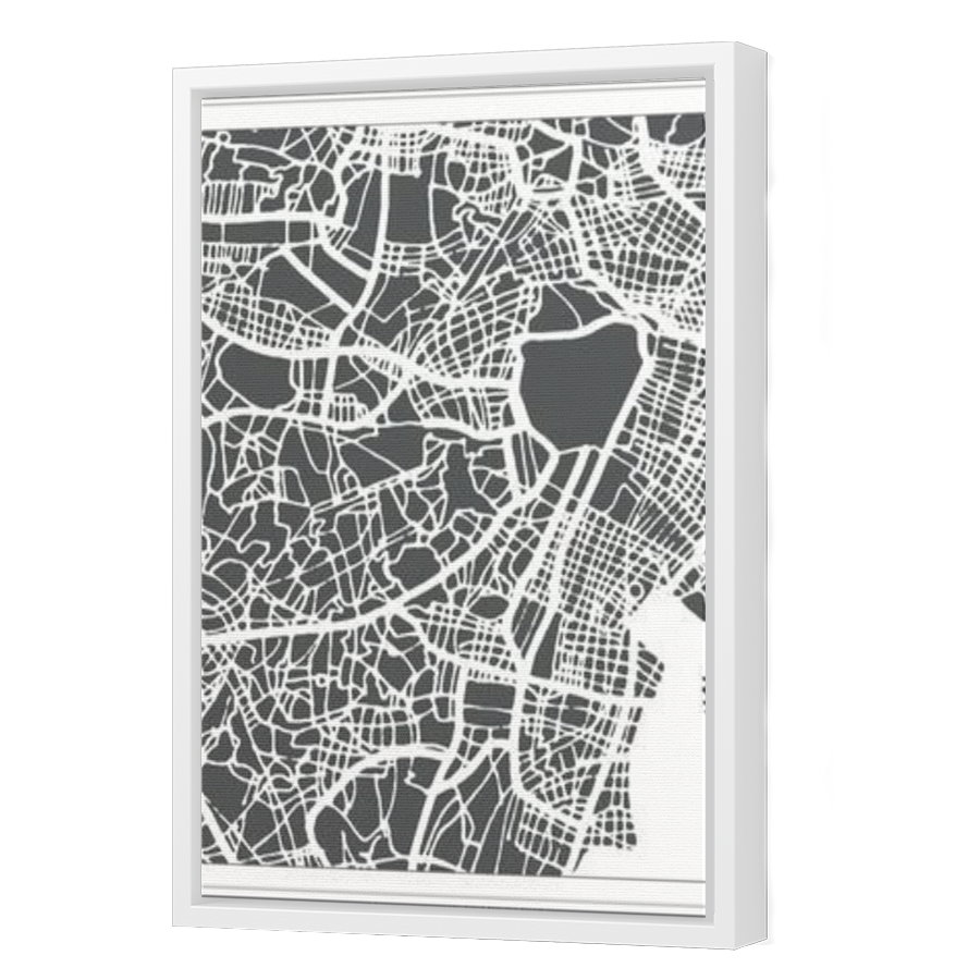 Thumbnail for Canvas - White Floating Frame