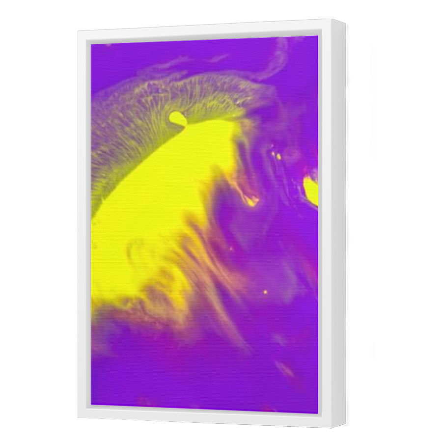 Thumbnail for Canvas - White Floating Frame