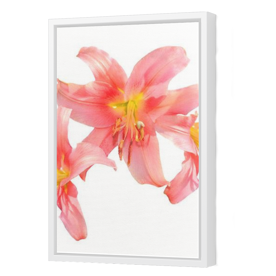 Thumbnail for Canvas - White Floating Frame