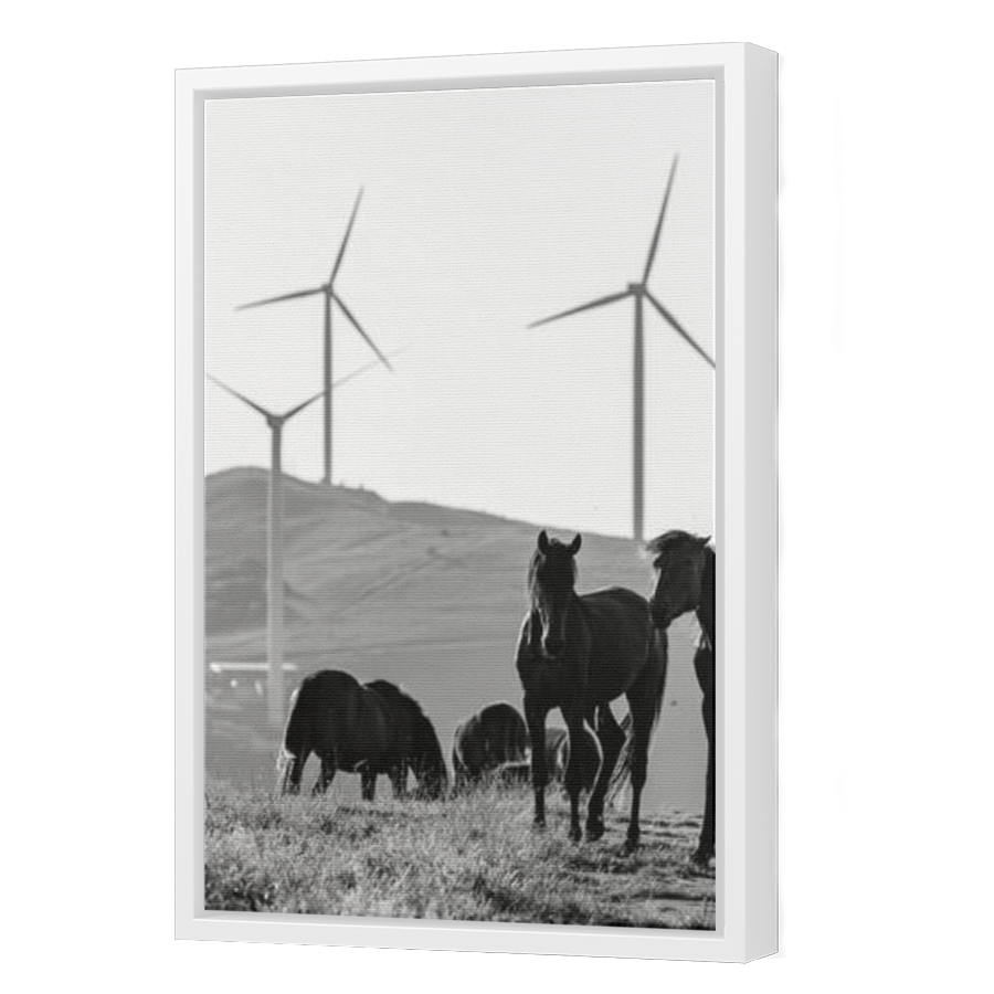 Thumbnail for Canvas - White Floating Frame