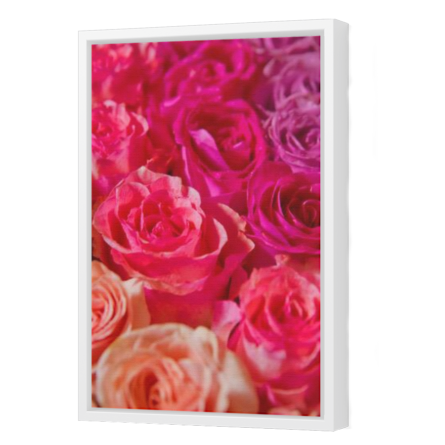 Thumbnail for Canvas - White Floating Frame