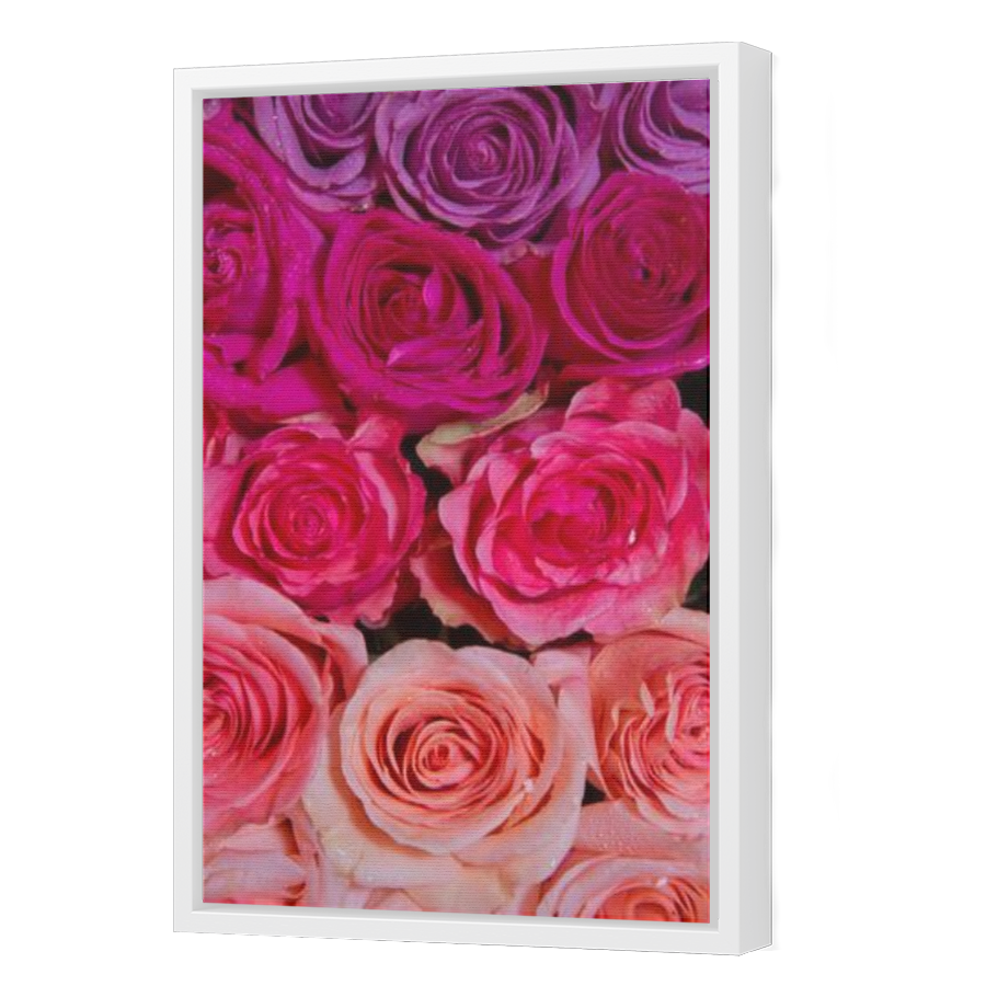 Thumbnail for Canvas - White Floating Frame