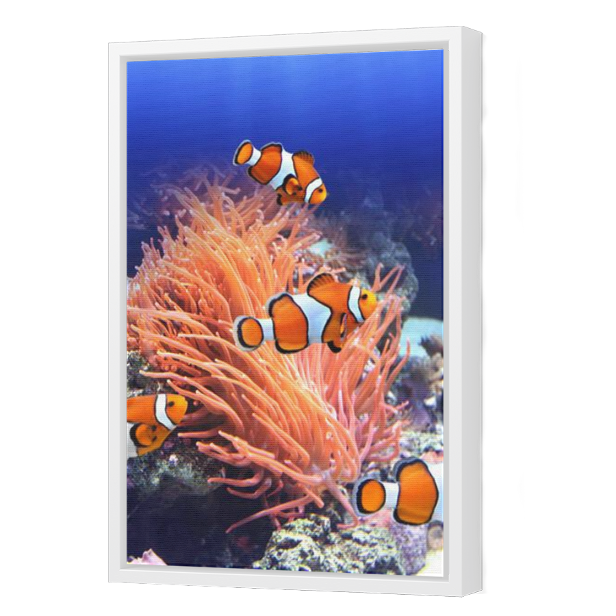 Thumbnail for Canvas - White Floating Frame