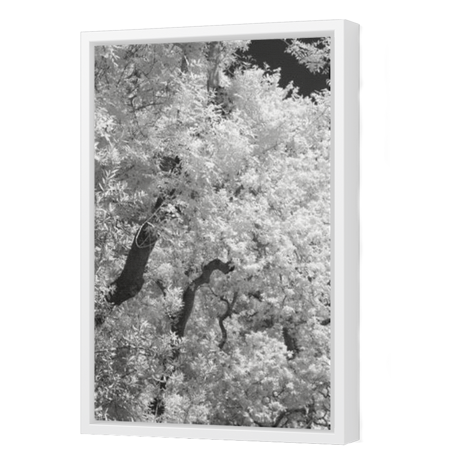 Thumbnail for Canvas - White Floating Frame