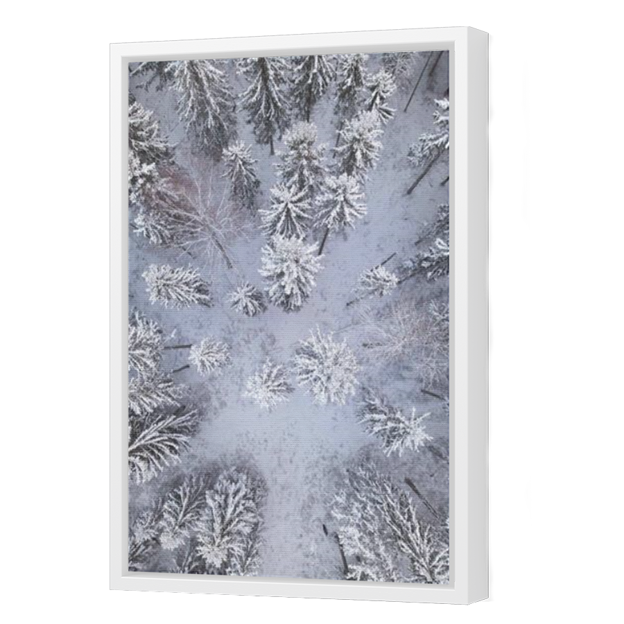 Thumbnail for Canvas - White Floating Frame