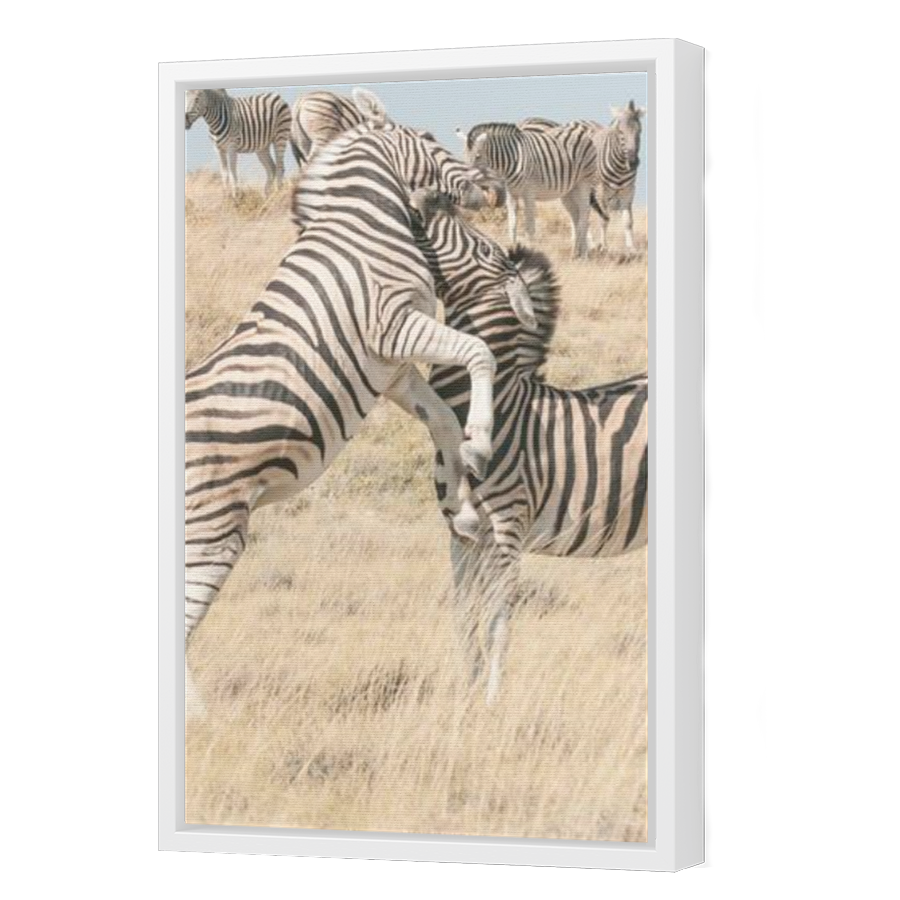 Thumbnail for Canvas - White Floating Frame