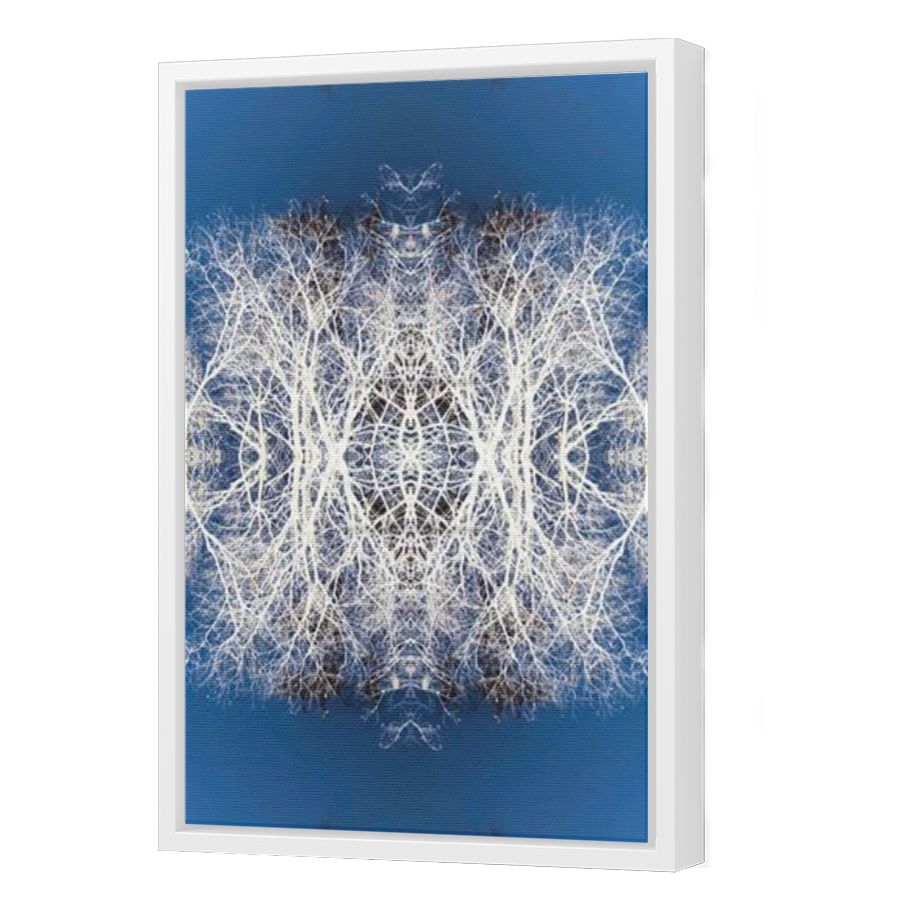 Thumbnail for Canvas - White Floating Frame
