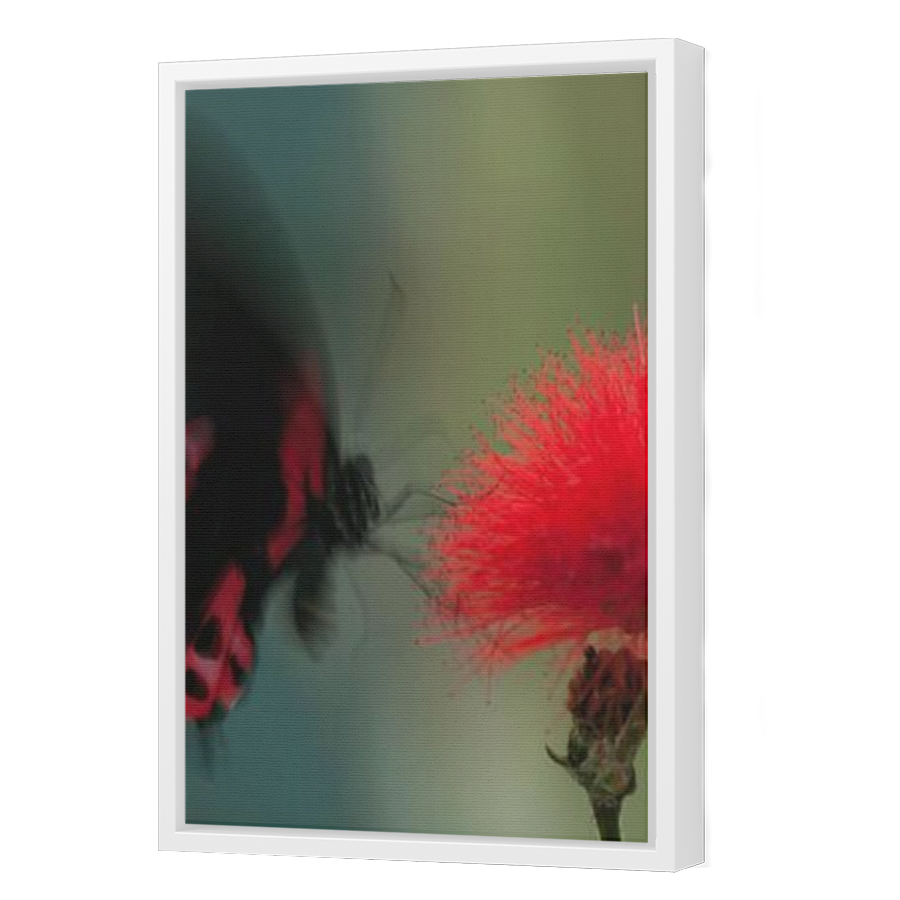 Thumbnail for Canvas - White Floating Frame