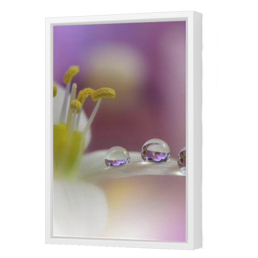 Thumbnail for Canvas - White Floating Frame
