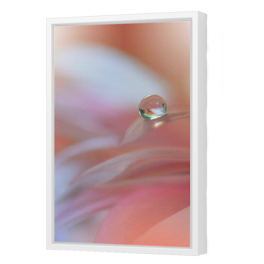 Thumbnail for Canvas - White Floating Frame