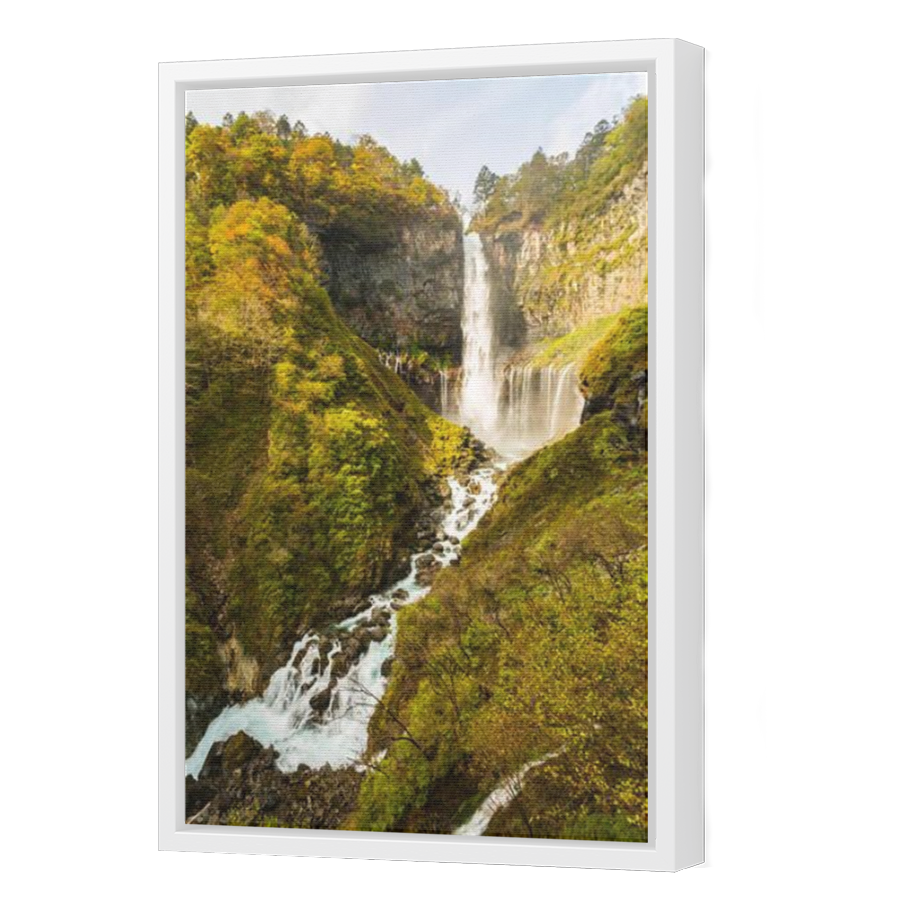 Thumbnail for Canvas - White Floating Frame